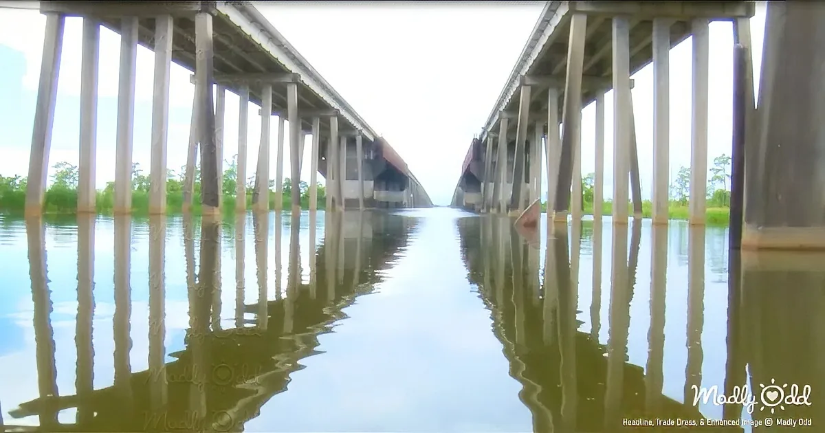 Teen''s Split-Second River Rescue Saves 4 Girls and Police Officer From Watery Grave