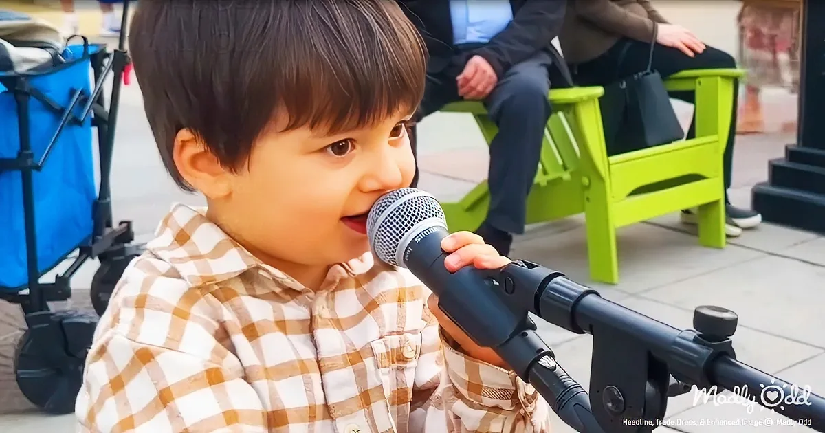 A young child in a plaid shirt sings into a microphone, surrounded by spectators on green chairs.