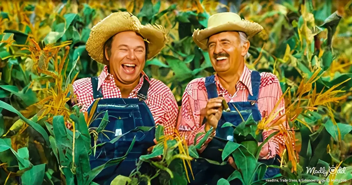 Two men in straw hats and aprons laugh joyfully amidst corn plants.