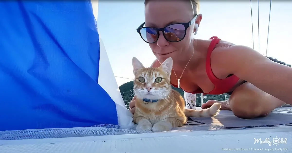 Ahoy! Swimming Cat Dives Into Sailing Adventures