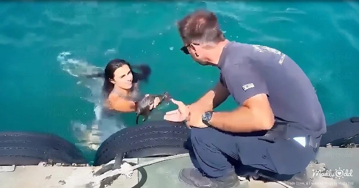 Brave Woman Fights Police to Save Drowning Kitten From Death