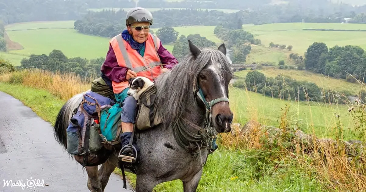 A person rides a horse along a rural path, carrying a dog and gear, with a scenic green landscape in the background.