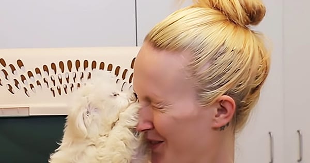 Police Save 526 Puppies From Horrible Breeder. a Year Later? I Can''t Stop Smiling!