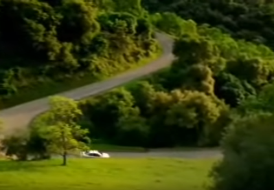 A white car drives on a winding road surrounded by lush green trees and grass.