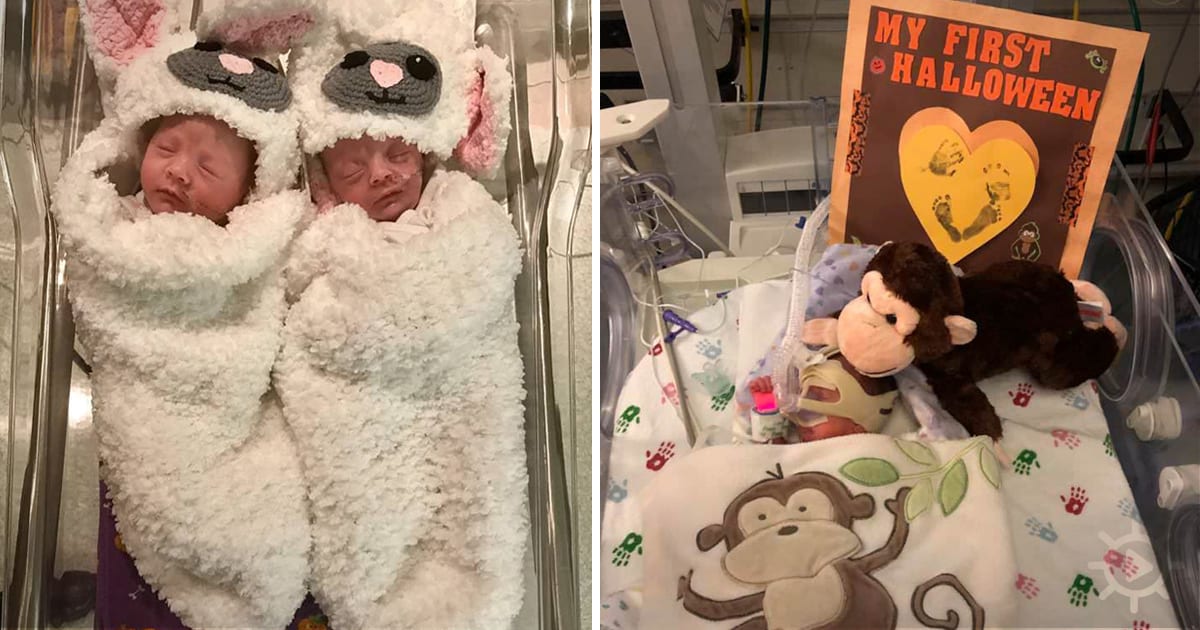 Two newborns in a hospital, one wrapped in a lamb costume, the other in a monkey-themed setup with a Halloween sign.