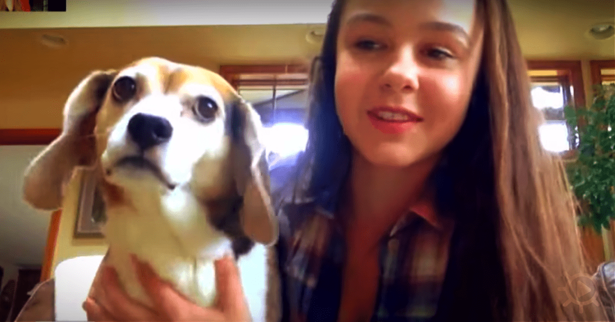 A woman holds a beagle puppy with a curious expression, smiling.