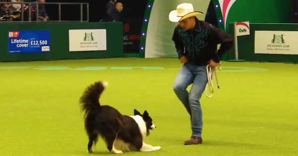Cute Cowboy and His Dancing Dog
