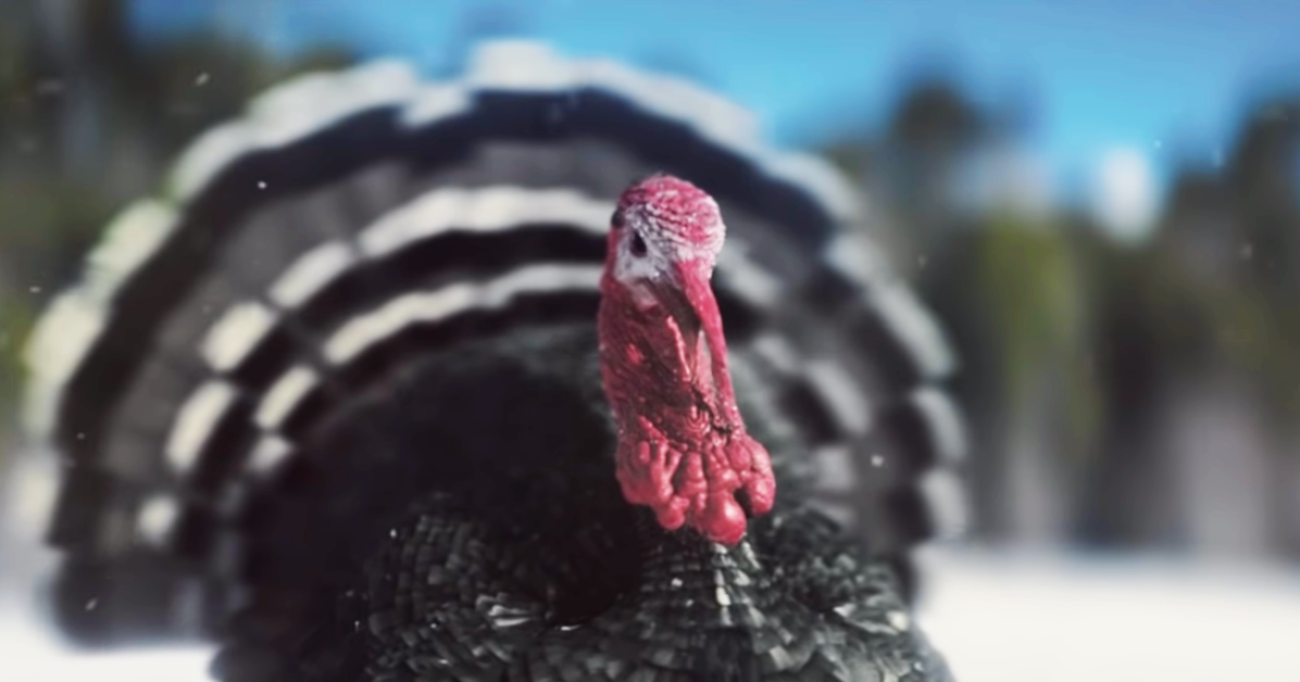 KFC Christmas Advert