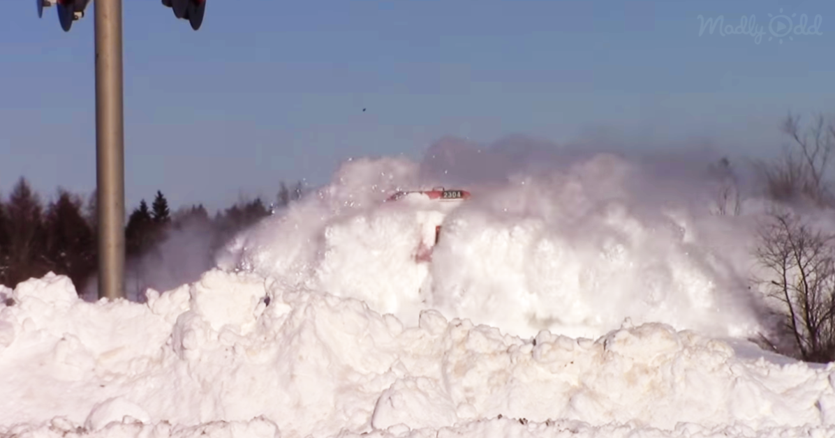 Train Rams Snow