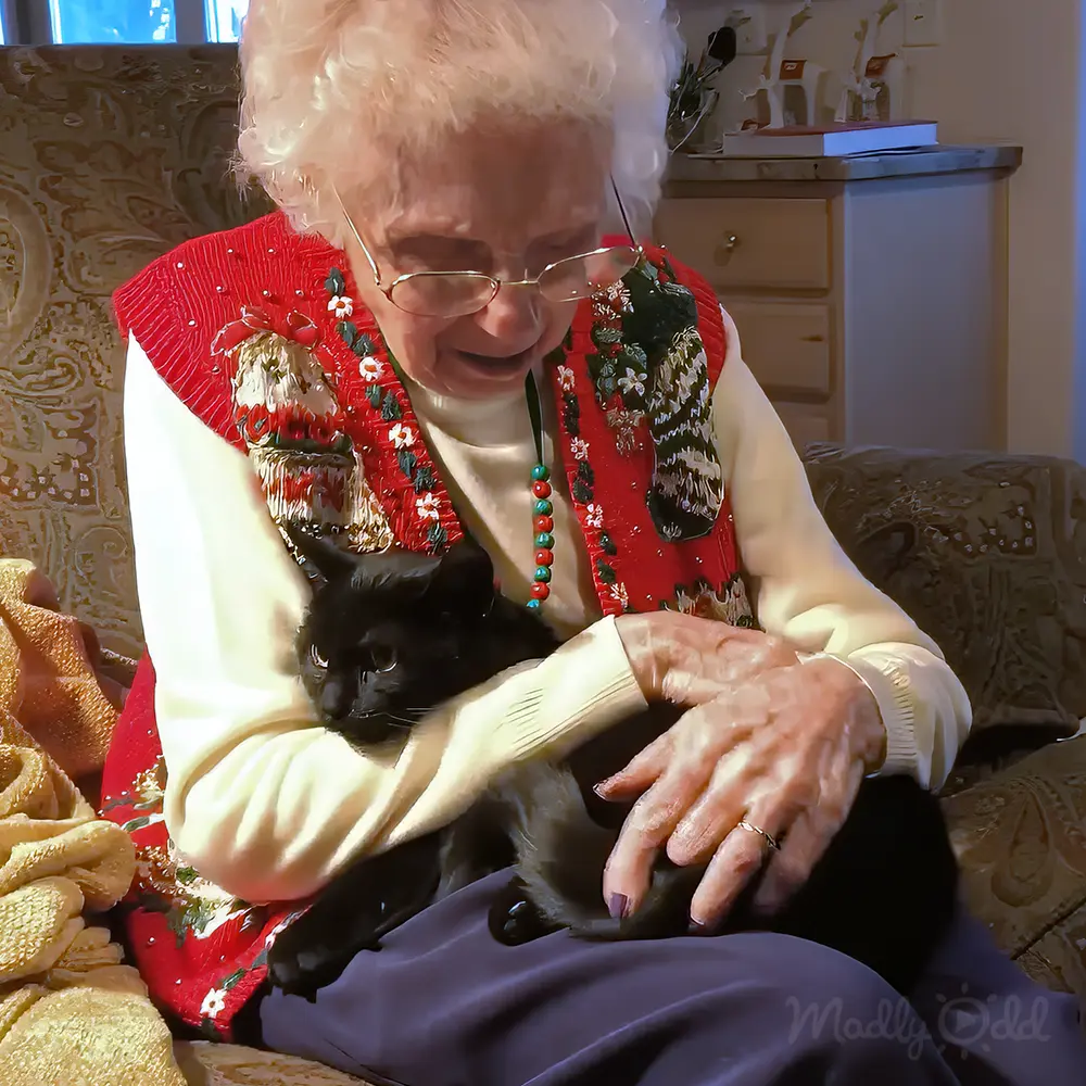 An elderly woman wearing a red vest and glasses holds a black cat on her lap.