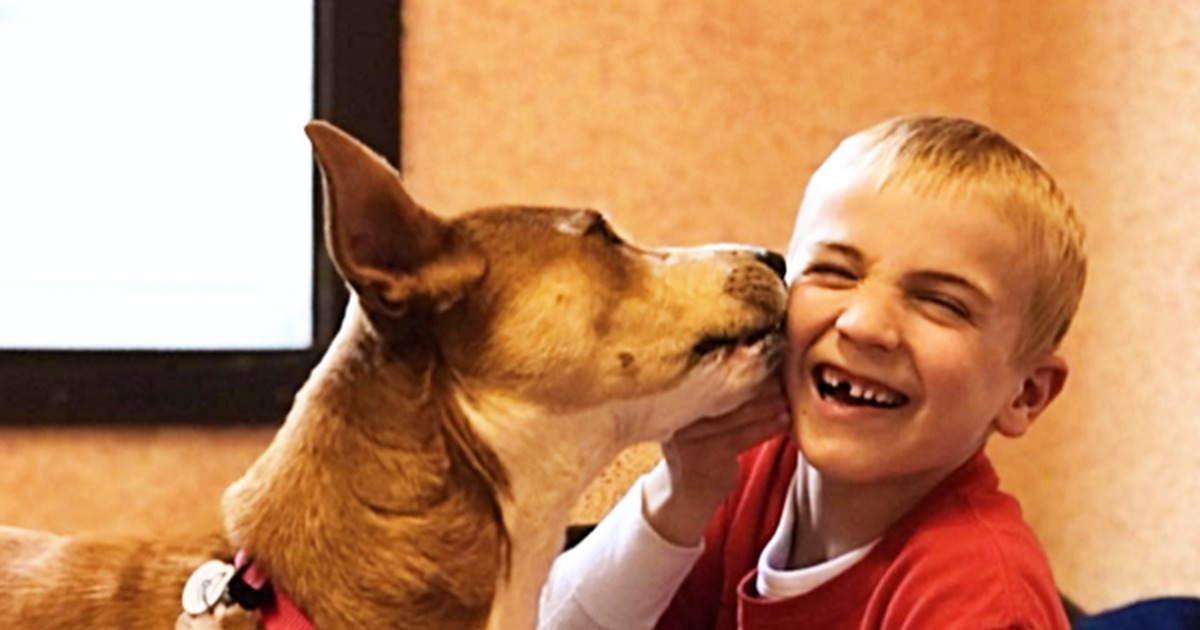7-Year-Old Boy ''Goes Public'' and Saves 1,700 Dogs Destined for Death
