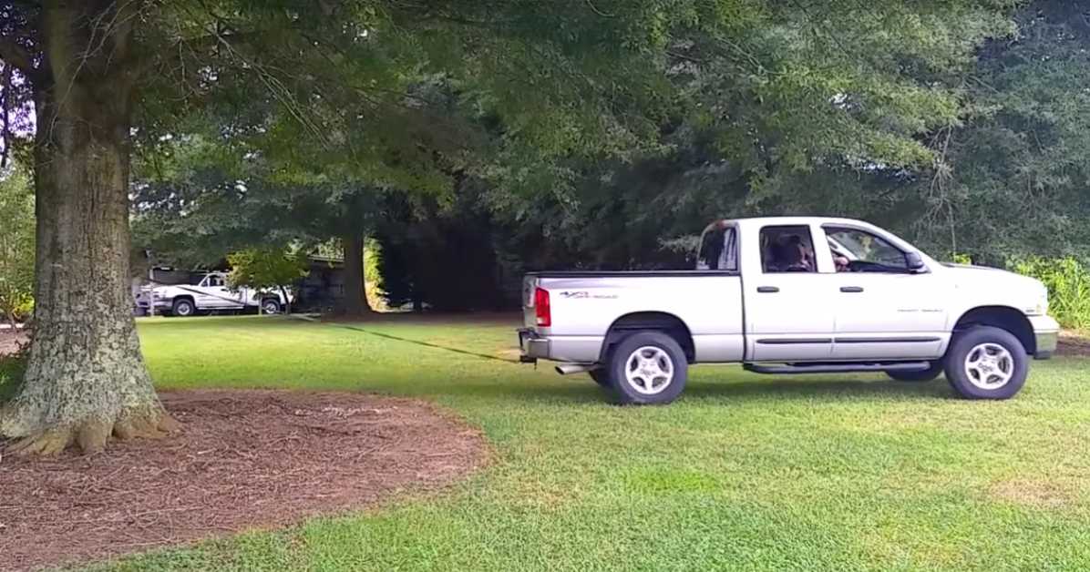 A white pickup truck is parked on a grassy lawn, with a tree trunk in the foreground and other vehicles in the background.