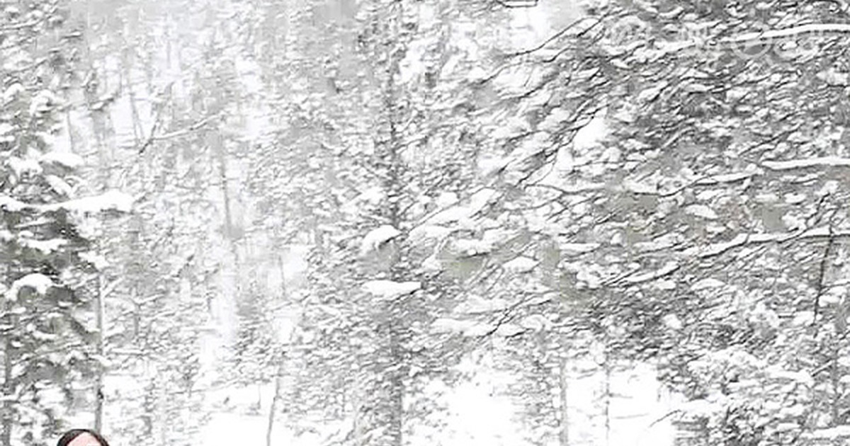 They Filmed This Song in the Woods. but Keep a Close Eye Behind That Man! My Heart Stopped!