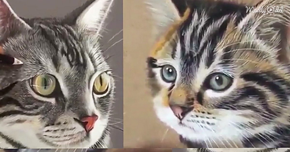 A close-up of a tabby cat with striking yellow and blue eyes, licking its lips.