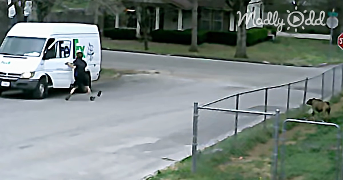 Security Camera Caught This Fedex Truck on the Run. I Really Didn''t Expect That