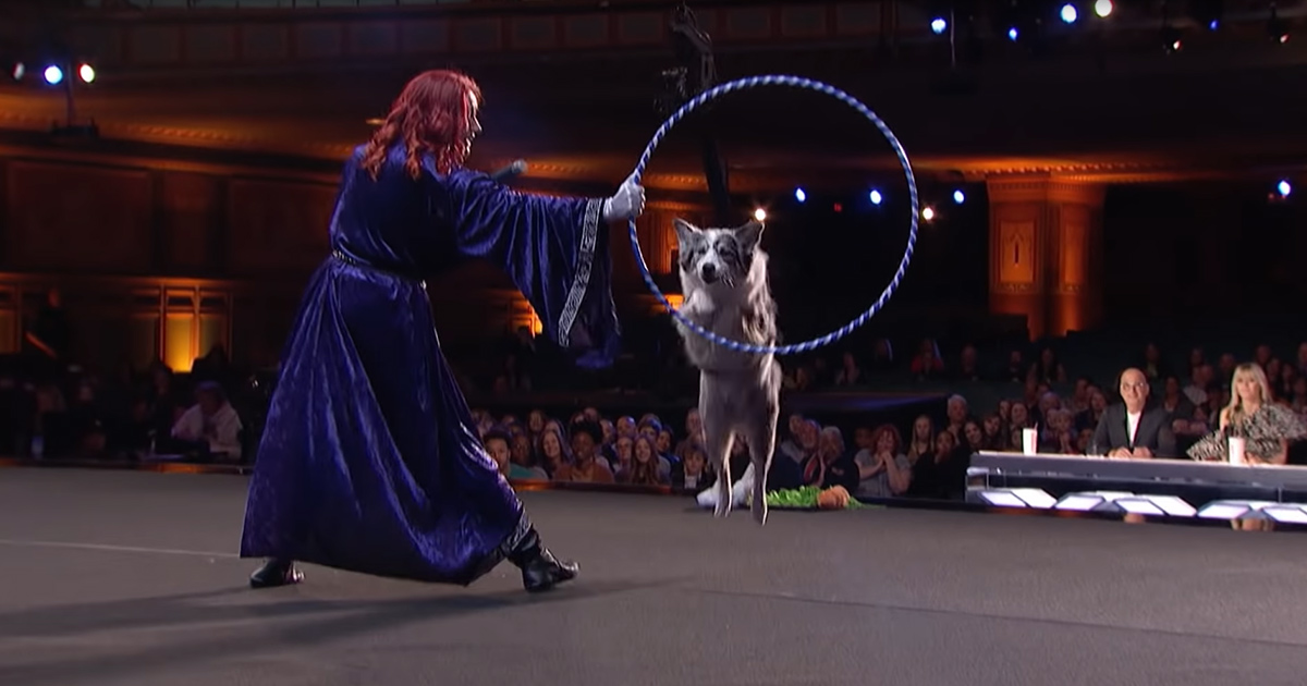 AGT Magic & Dog Tricks That'll Grip & Entertain You, Now That's a Combo