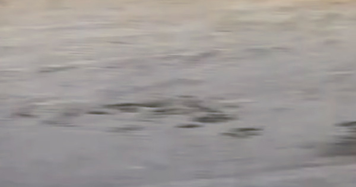 Watch These Kings of Speed Battle for the Title of Fastest Vehicle