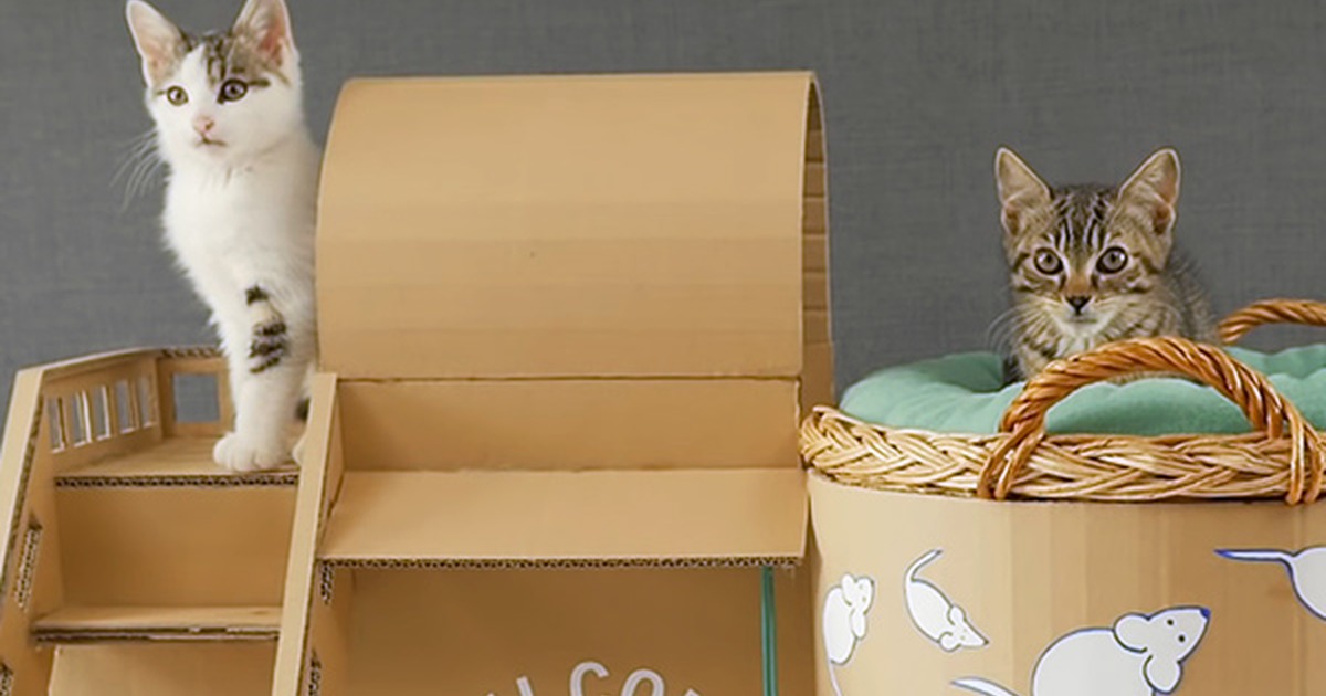 Do-It-Yourself Genius Shows You How to Make a Mini-Mansion for His Kittens